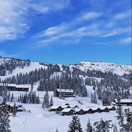 度假居 In & Out, Family Kvitfjell East - 灵厄比